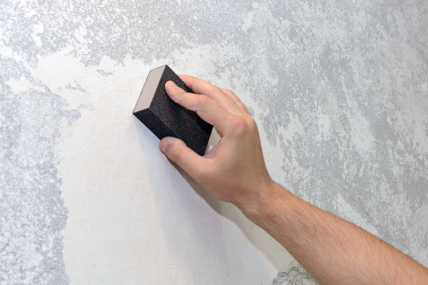 Best Emergency Mold Remediation  in Roy, UT