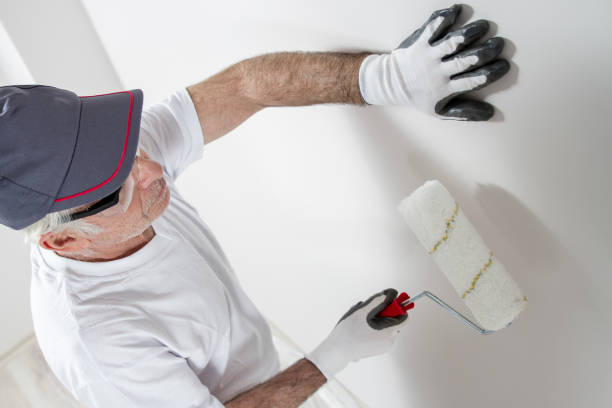 Best Post-Remediation Verification Testing  in Roy, UT