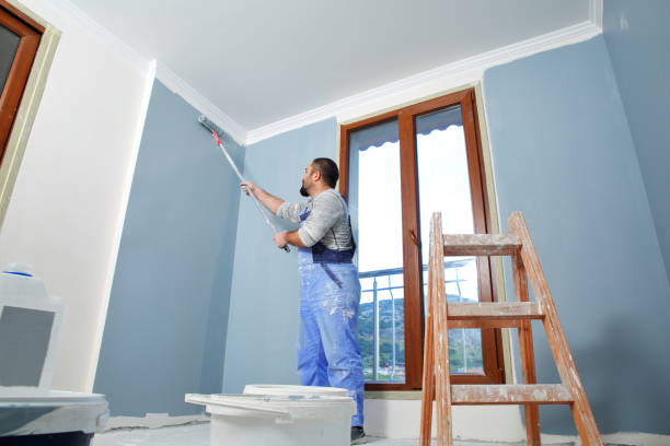 Best Biohazard Mold Removal  in Roy, UT