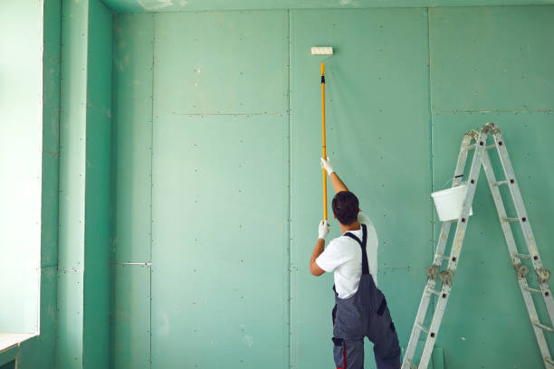 Best Black Mold Removal  in Roy, UT