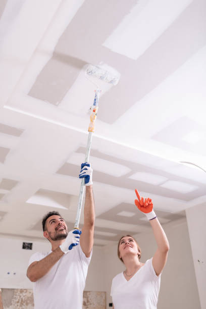 Roy, UT Mold Removal Company