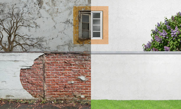 Best Mold Prevention Services  in Roy, UT