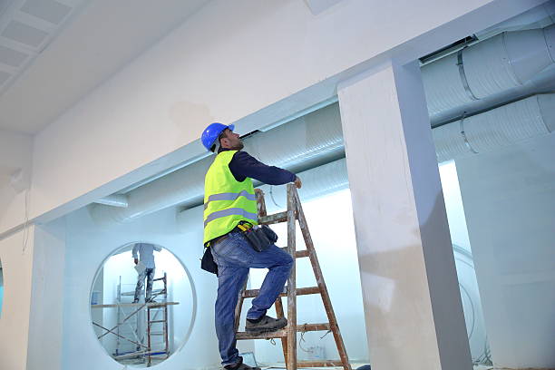 Best Forensic Mold Investigation  in Roy, UT