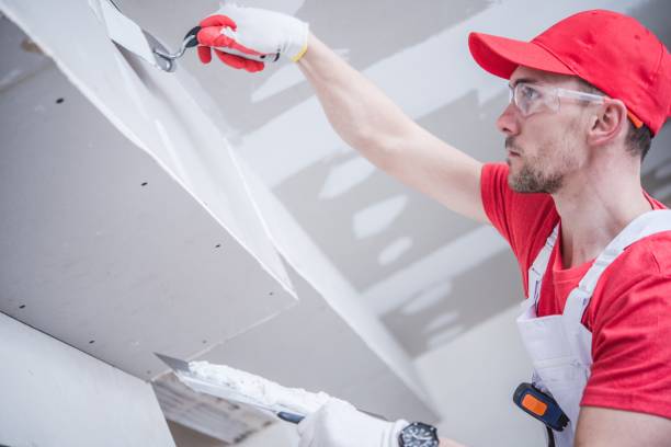 Mold Remediation for Vacation Homes in Roy, UT