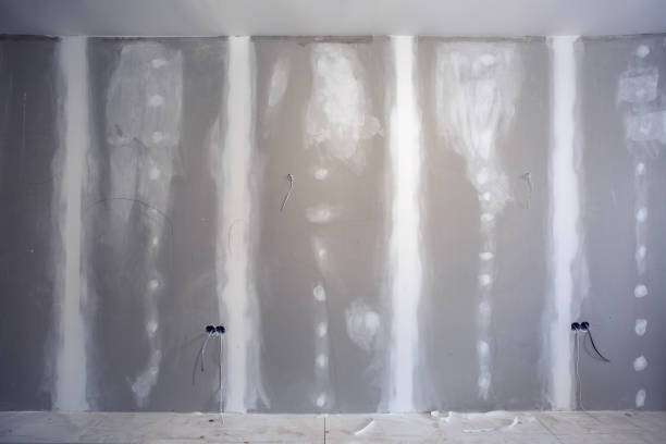 Asbestos and Lead Testing During Mold Inspection in Roy, UT